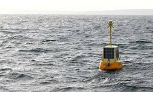 Bouy